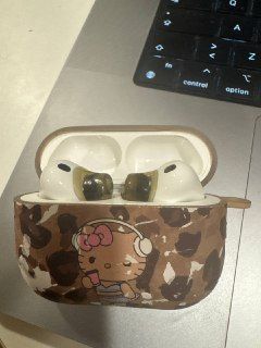 AirPods 3 Pro с чехлом и амбюрушами — 1