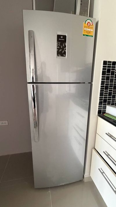 Двухдверный холодильник Electrolux 347 л