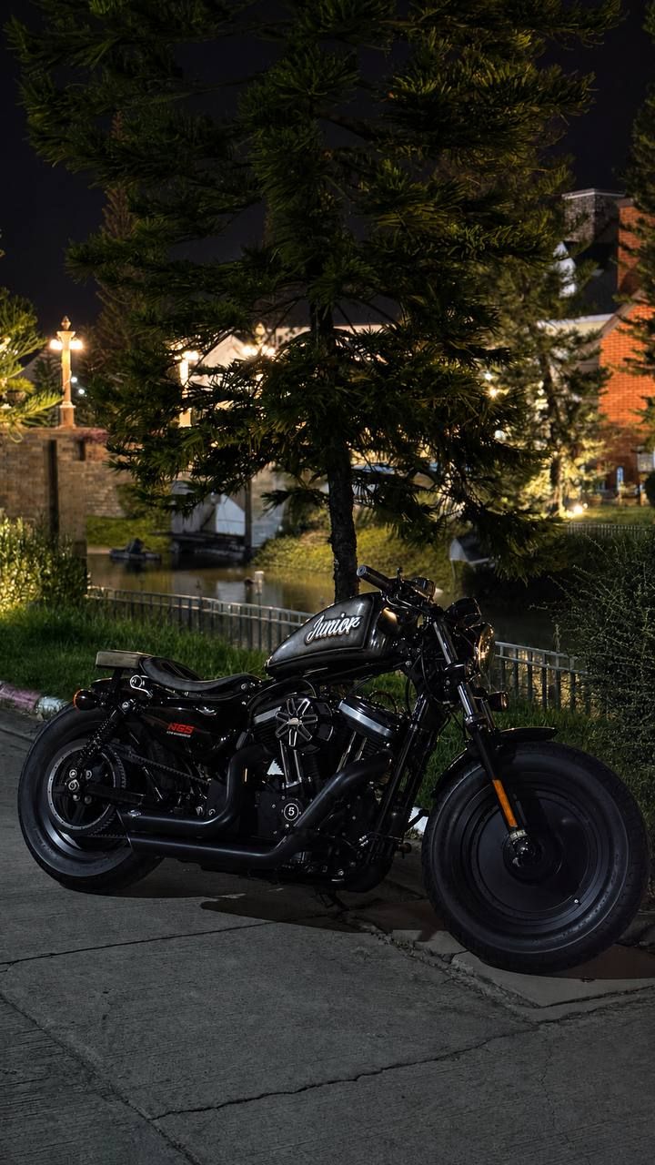 Harley Davidson Sportster 48 — 3