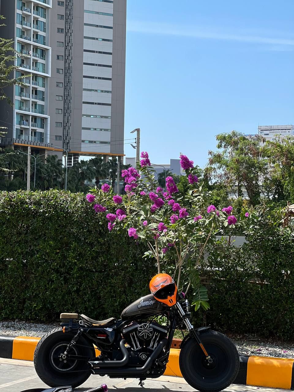 Harley Davidson Sportster 48 — 5